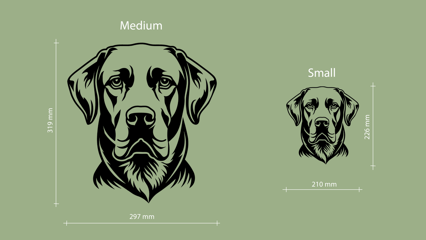 Sizes for pet wall decor featuring an illustration of a Labrador Retriever. Acrylic glass decor - Vibewall