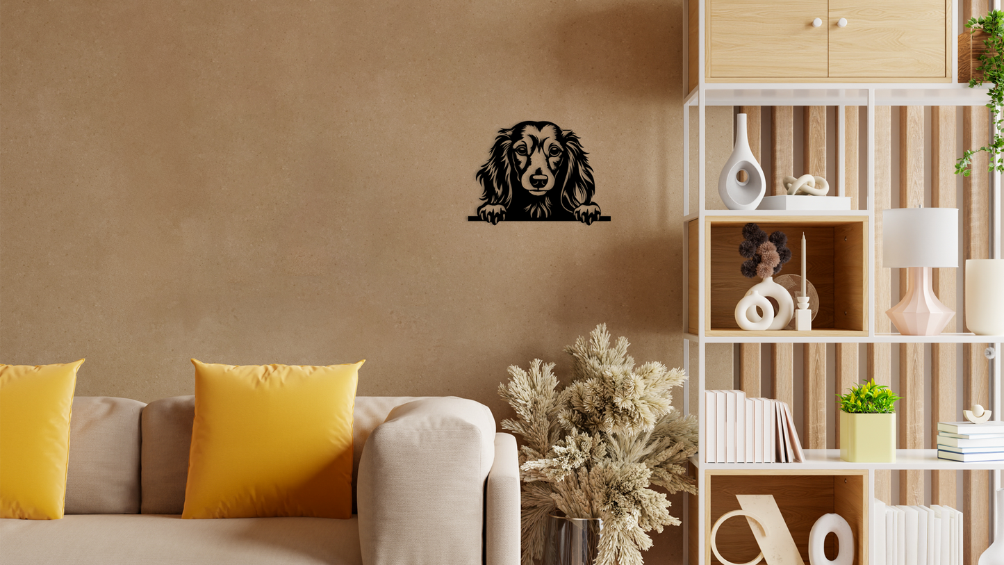Pet wall decor featuring an illustration of a Long Haired Dachshund. Acrylic glass decor - Vibewall