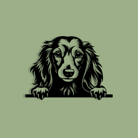 Pet wall decor featuring an illustration of a Long Haired Dachshund. Acrylic glass decor - Vibewall