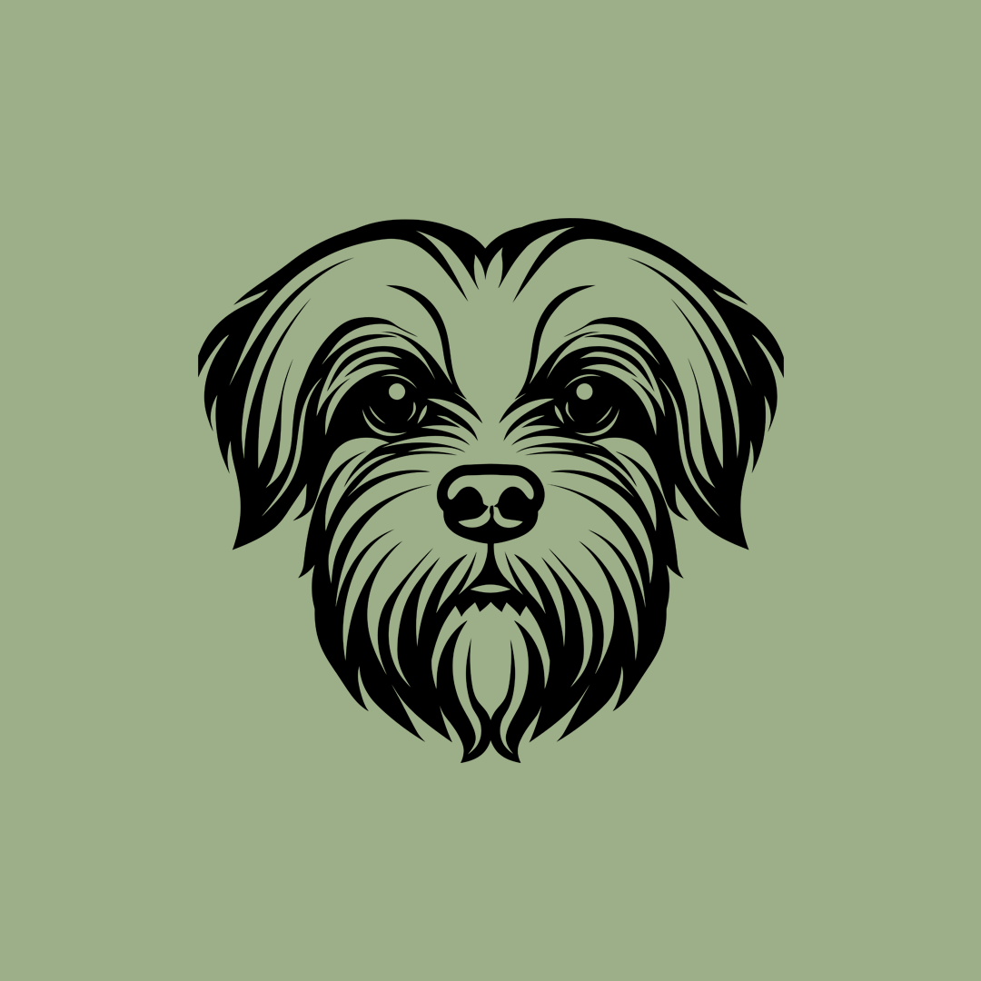 Pet wall decor featuring an illustration of a Maltese. Acrylic glass decor - Vibewall