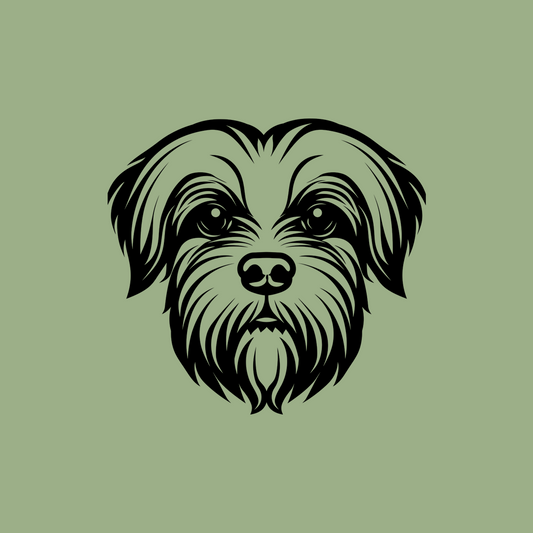 Pet wall decor featuring an illustration of a Maltese. Acrylic glass decor - Vibewall