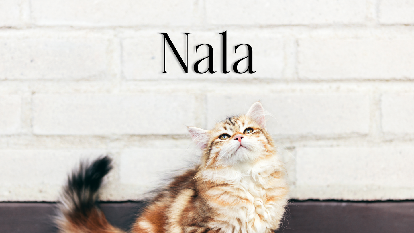 This pet wall decor features the name “Nala” in a clean, elegant design that adds a personalized touch to any space. Acrylic glass decor - Vibewall