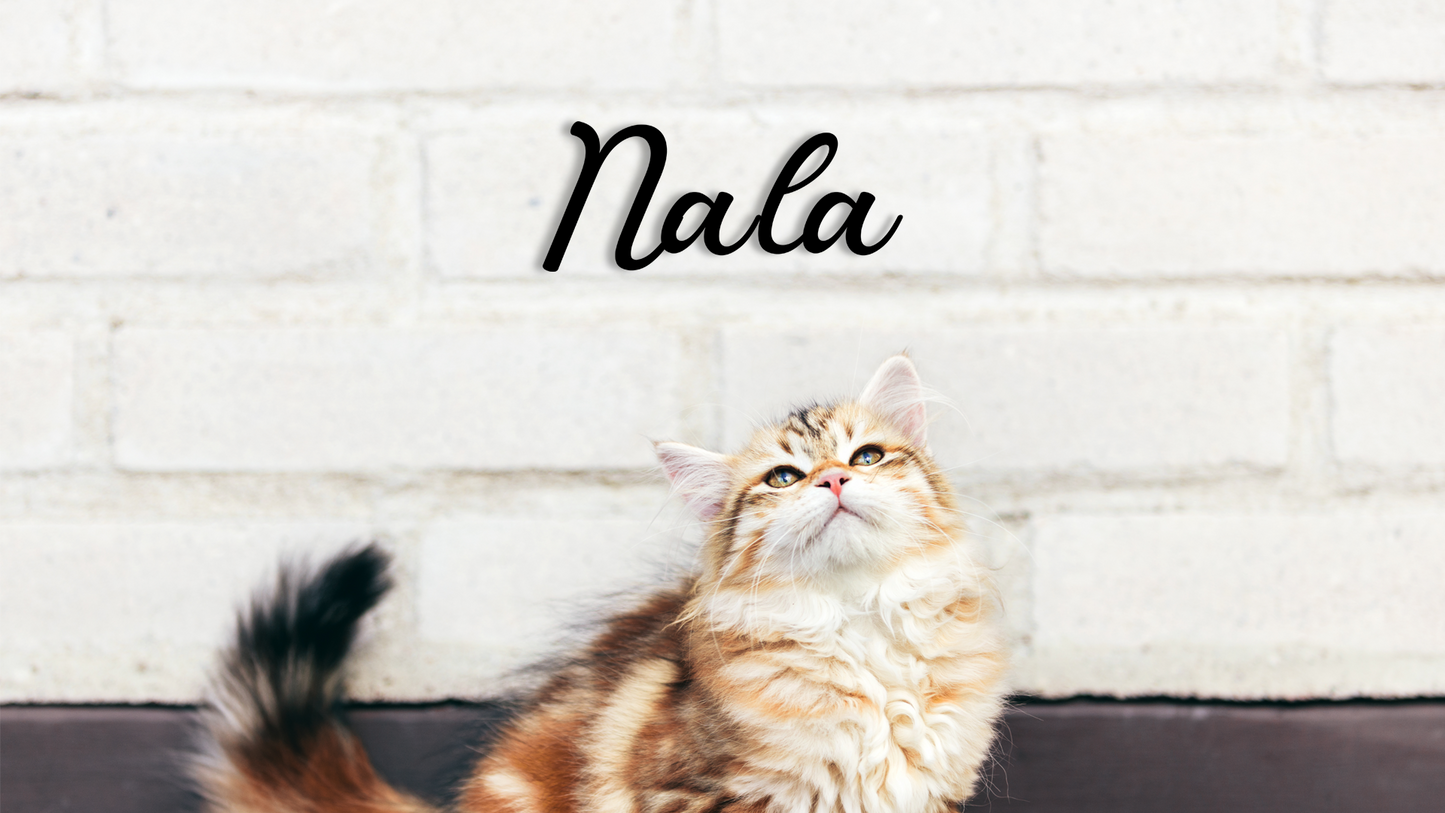 This pet wall decor features the name “Nala” in a clean, elegant design that adds a personalized touch to any space. Acrylic glass decor - Vibewall