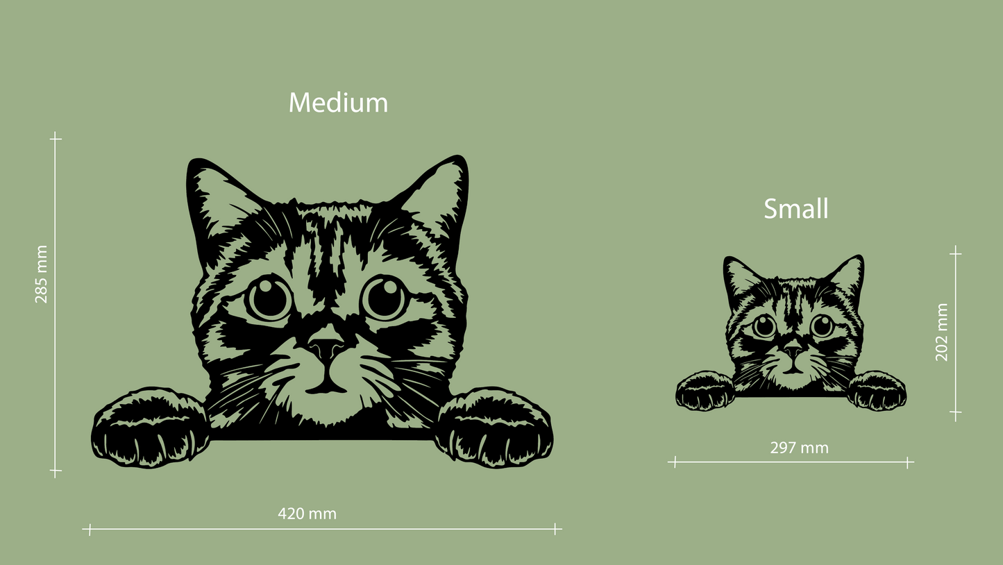 Sizes for pet wall decor featuring an illustration of a Peeking Cat. Acrylic glass decor - Vibewall