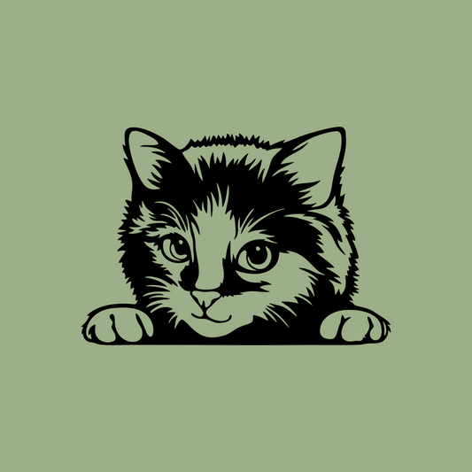 Pet wall decor featuring an illustration of a Peeking Kitten. Acrylic glass decor - Vibewall