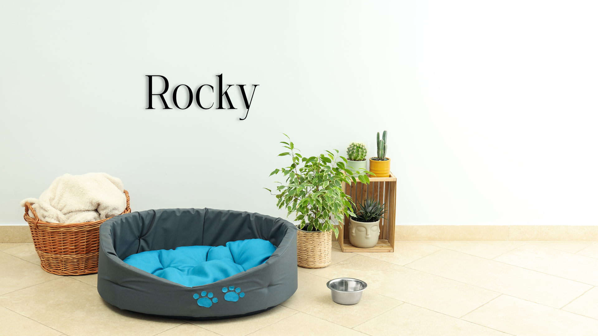 This pet wall decor features the name “Rocky” in a clean, elegant design that adds a personalized touch to any space. Acrylic glass decor - Vibewall
