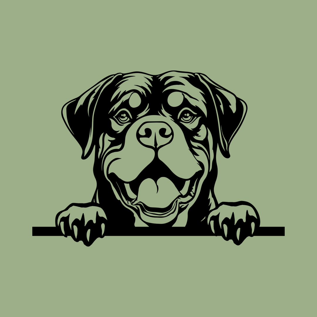 Pet wall decor featuring an illustration of a Rottweiler. Acrylic glass decor - Vibewall