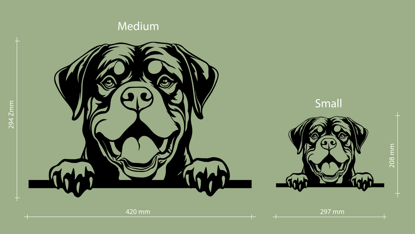 Sizes for pet wall decor featuring an illustration of a Rottweiler. Acrylic glass decor - Vibewall