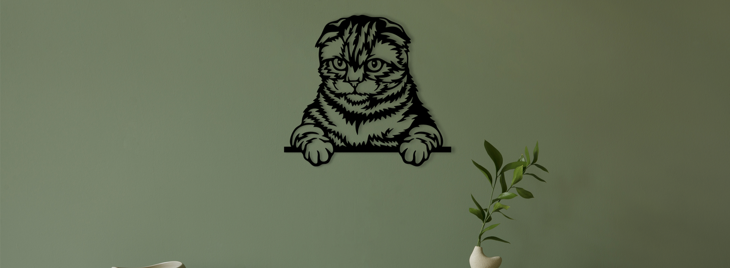 Pet wall decor featuring an illustration of a Scottish Fold Cat. Acrylic glass decor - Vibewall