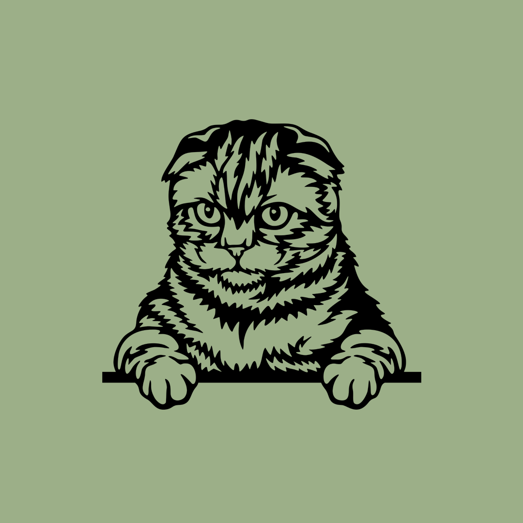 Pet wall decor featuring an illustration of a Scottish Fold Cat. Acrylic glass decor - Vibewall