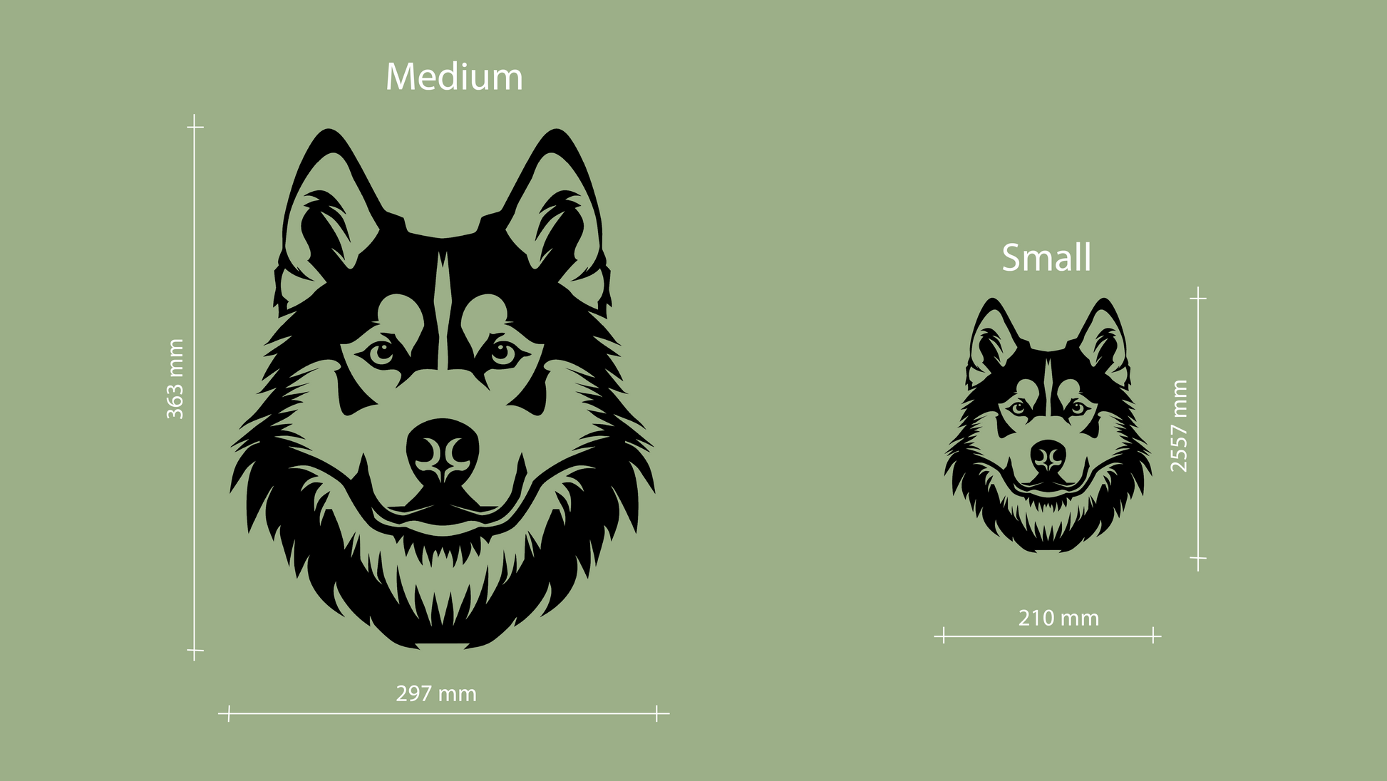 Illustrations of a medium and small-sized husky head with dimensions on a green background - Vibewall Acrylic glass 