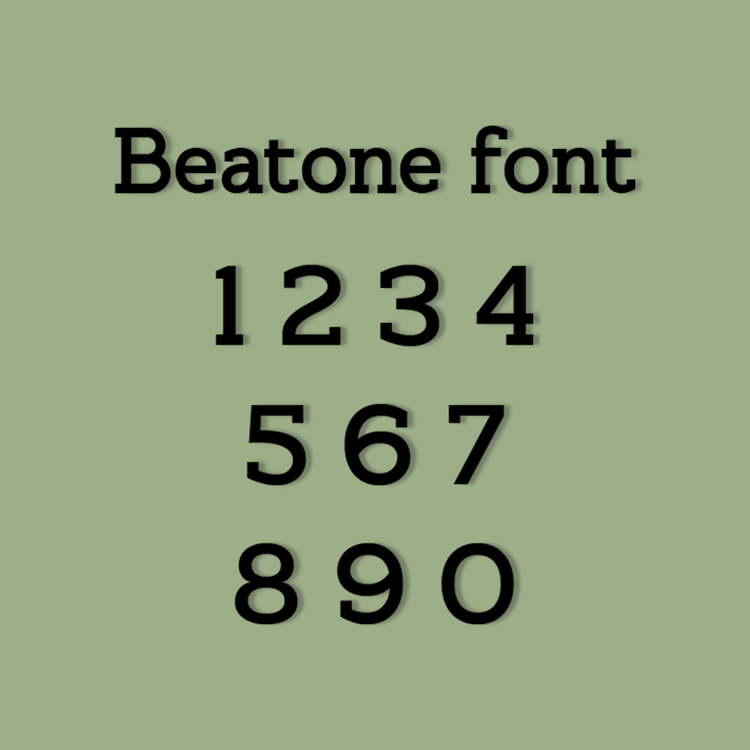 Vibewall_acrylic_wall_decor_numbers_beatone_font_without background