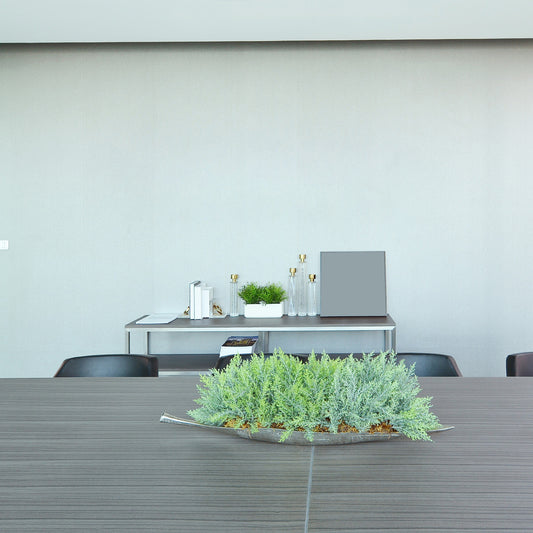Modern conference room with a table, chairs, and decorative plants. background - Vibewall